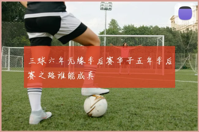 三球六年无缘季后赛华子五年季后赛之路谁能成真