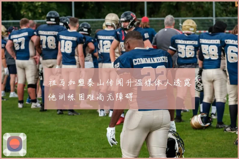 祖马加盟泰山传闻升温媒体人透露他训练困难尚无障碍